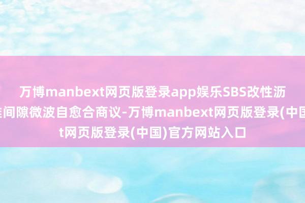万博manbext网页版登录app娱乐SBS改性沥青夹杂料宏不雅间隙微波自愈合商议-万博manbext网页版登录(中国)官方网站入口