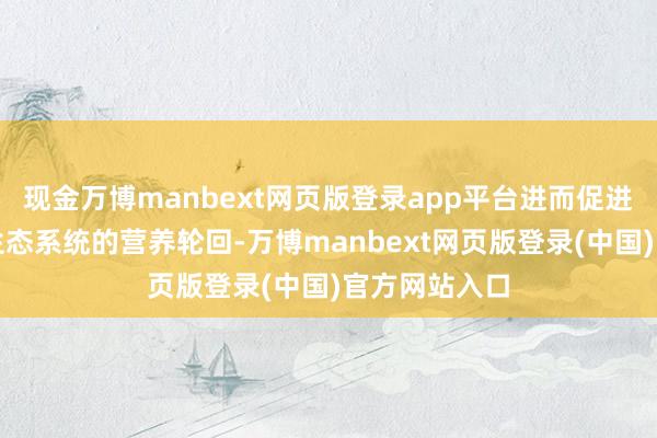 现金万博manbext网页版登录app平台进而促进统共这个词生态系统的营养轮回-万博manbext网页版登录(中国)官方网站入口