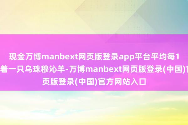 现金万博manbext网页版登录app平台平均每12亩草场养育着一只乌珠穆沁羊-万博manbext网页版登录(中国)官方网站入口
