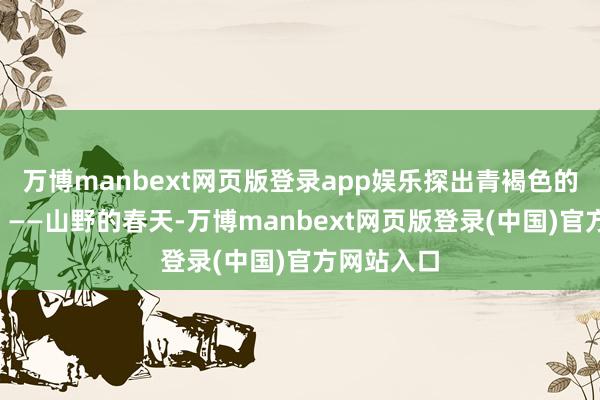 万博manbext网页版登录app娱乐探出青褐色的“小尖帽”——山野的春天-万博manbext网页版登录(中国)官方网站入口